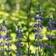 Image for article titled Sigma's Zoomy 18-250mm Lens Review/Rant: Better to Have 1 Lens or Many?